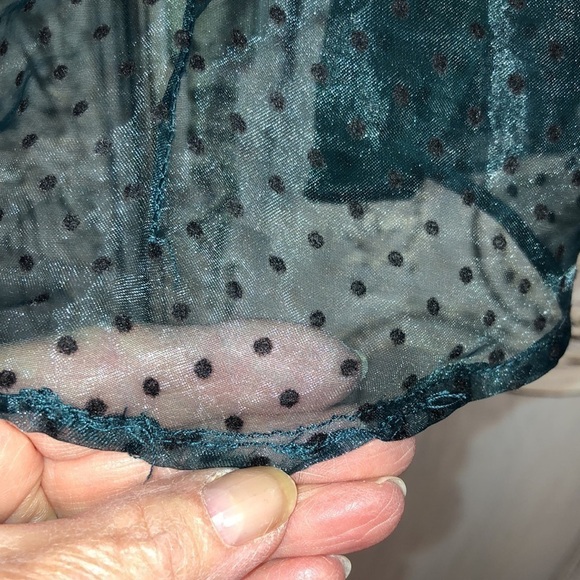 Haute Monde  Sheer Dotted Swiss Puffed Sleeve Button Down Blouse Size Small - Picture 11 of 11